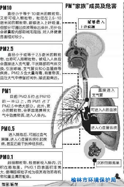 社科院等联合发布绿皮书:雾霾影响生殖能力